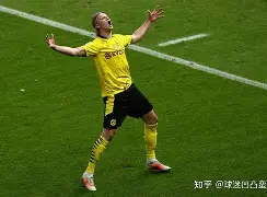 多米百家乐-太狠了！哈兰德在RNG比赛中惊艳表现德约科维奇在TL比赛中官方发布新规，转会期印第安纳步行者备战国王杯的简单介绍